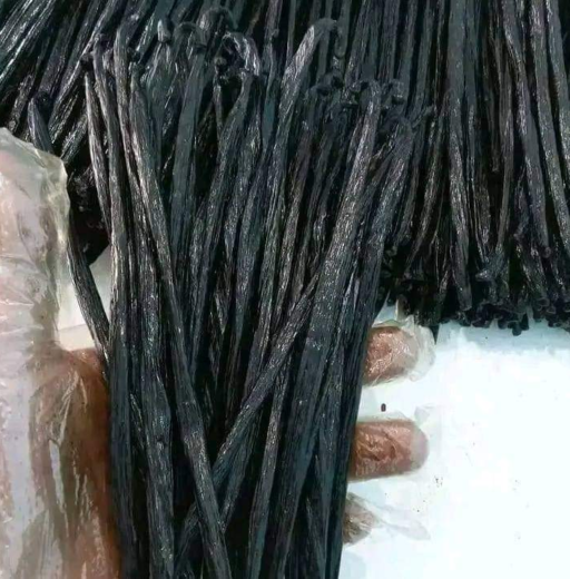 High Quality Madagascar Vanilla Beans