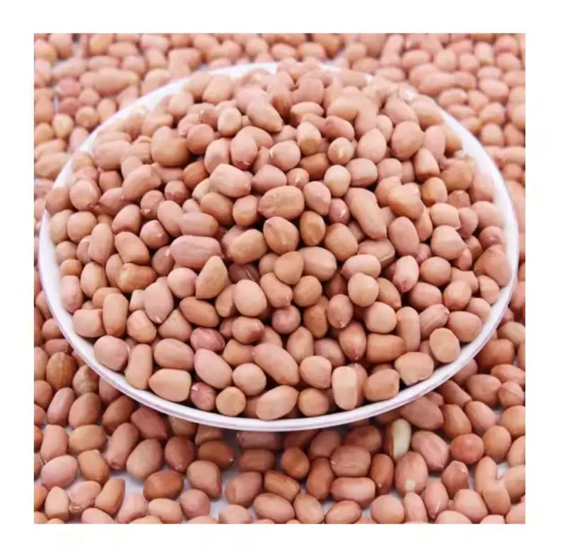 Buy Wholesale Bulk Raw Peanut