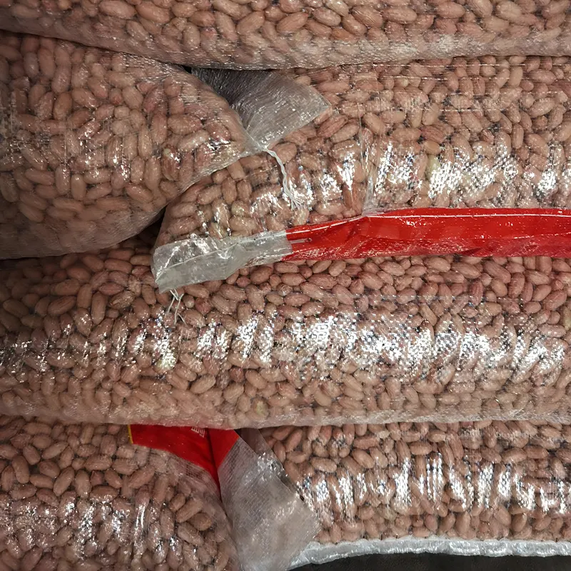 Buy Wholesale Bulk Raw Peanut - Image 4