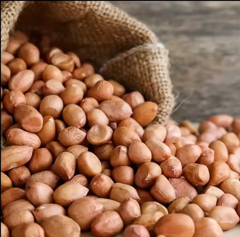 Buy Wholesale Bulk Raw Peanut - Image 3