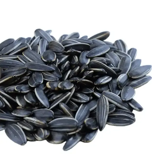 Buy Wholesale Bulk Sunflower seeds