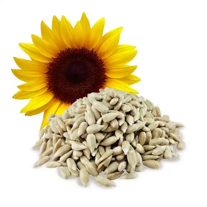 Buy Wholesale Bulk Sunflower seeds - Image 2