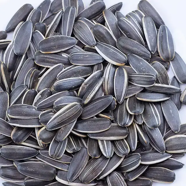 Buy Wholesale Bulk Sunflower seeds - Image 3