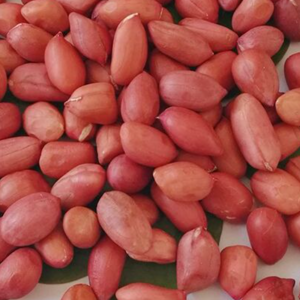 Buy Wholesale Bulk Raw Peanut - Image 2