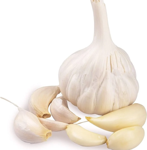 Buy Wholesale Fresh Natural Pure White Garlic