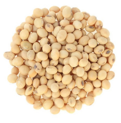 Buy Wholesale Bulk Non-GMO Soybeans