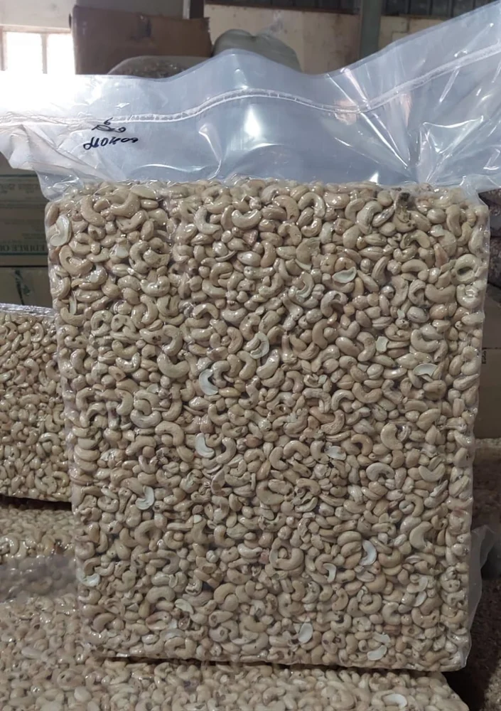 Buy Wholesale Bulk Processed Cashew Nut Kernel