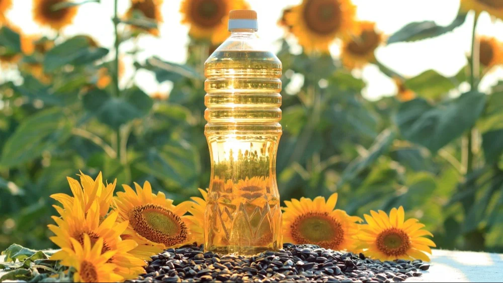 Buy Wholesale Bulk Refined Sunflower Oil - Image 2