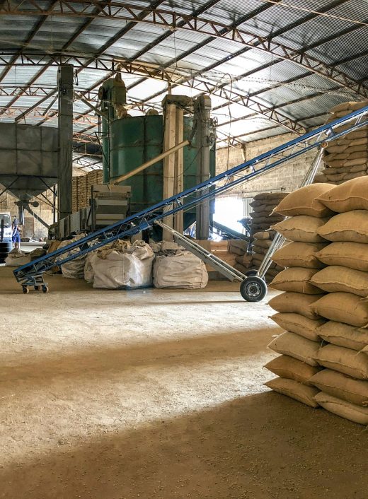 Stock of coffee in a warehouse.